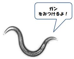 人生はじめてのがん検査